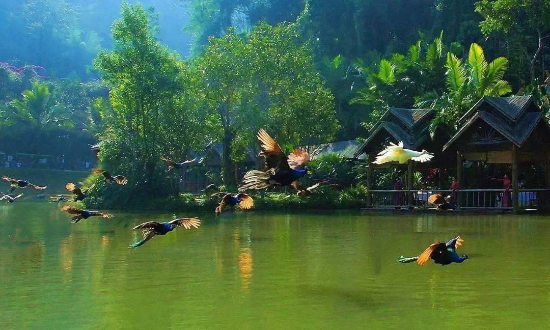 我在移动微法院立案了，但是系统升级，之前的案件不见了，怎么回事呢？法院删了？